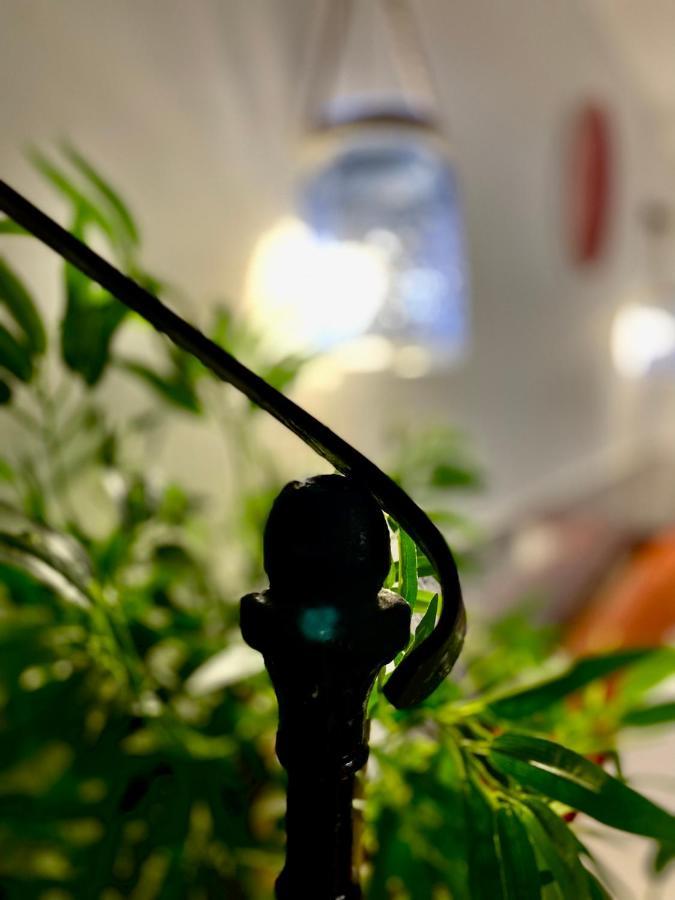 Moroni Trastevere Cozy Apartment 罗马 外观 照片