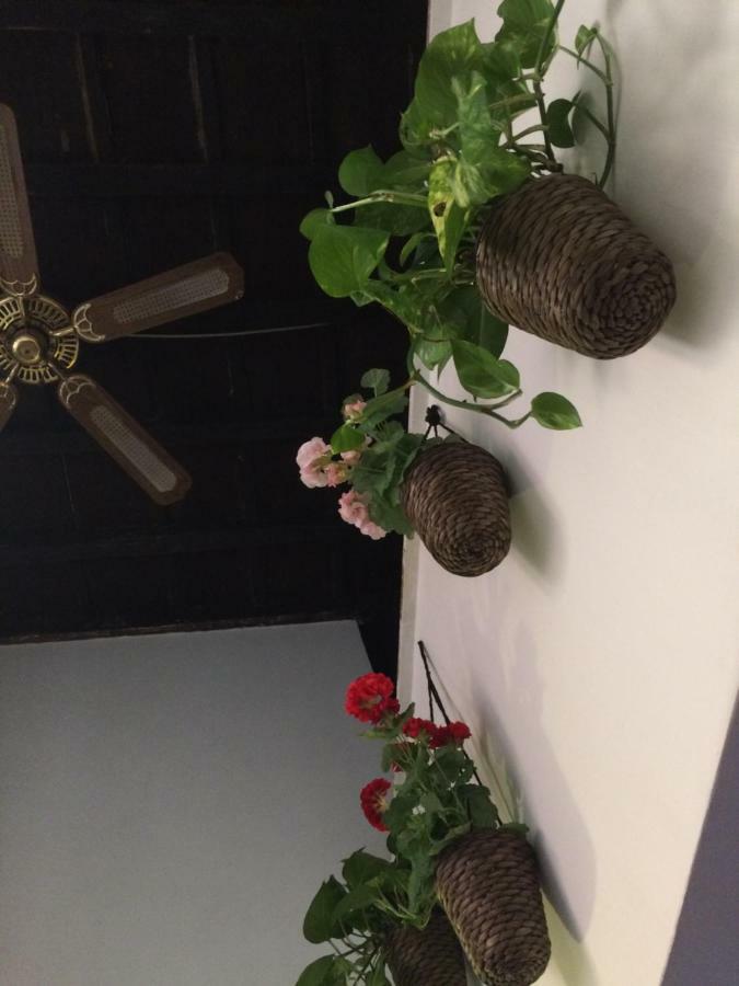 Moroni Trastevere Cozy Apartment 罗马 外观 照片