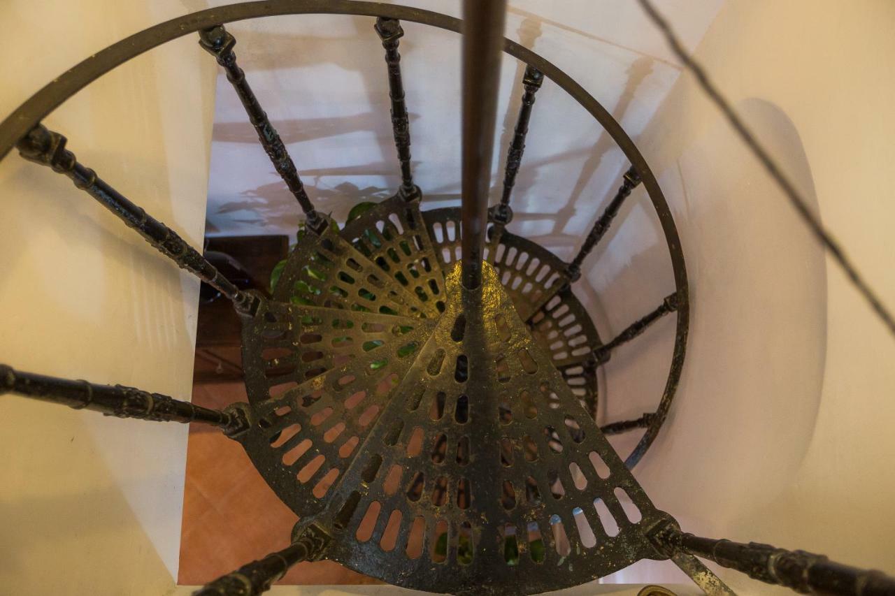 Moroni Trastevere Cozy Apartment 罗马 外观 照片